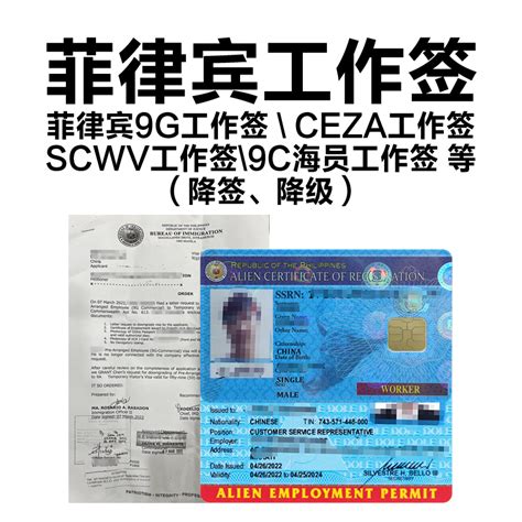 9g visa philippines|Understanding 9G Work Visa in the Philippines.